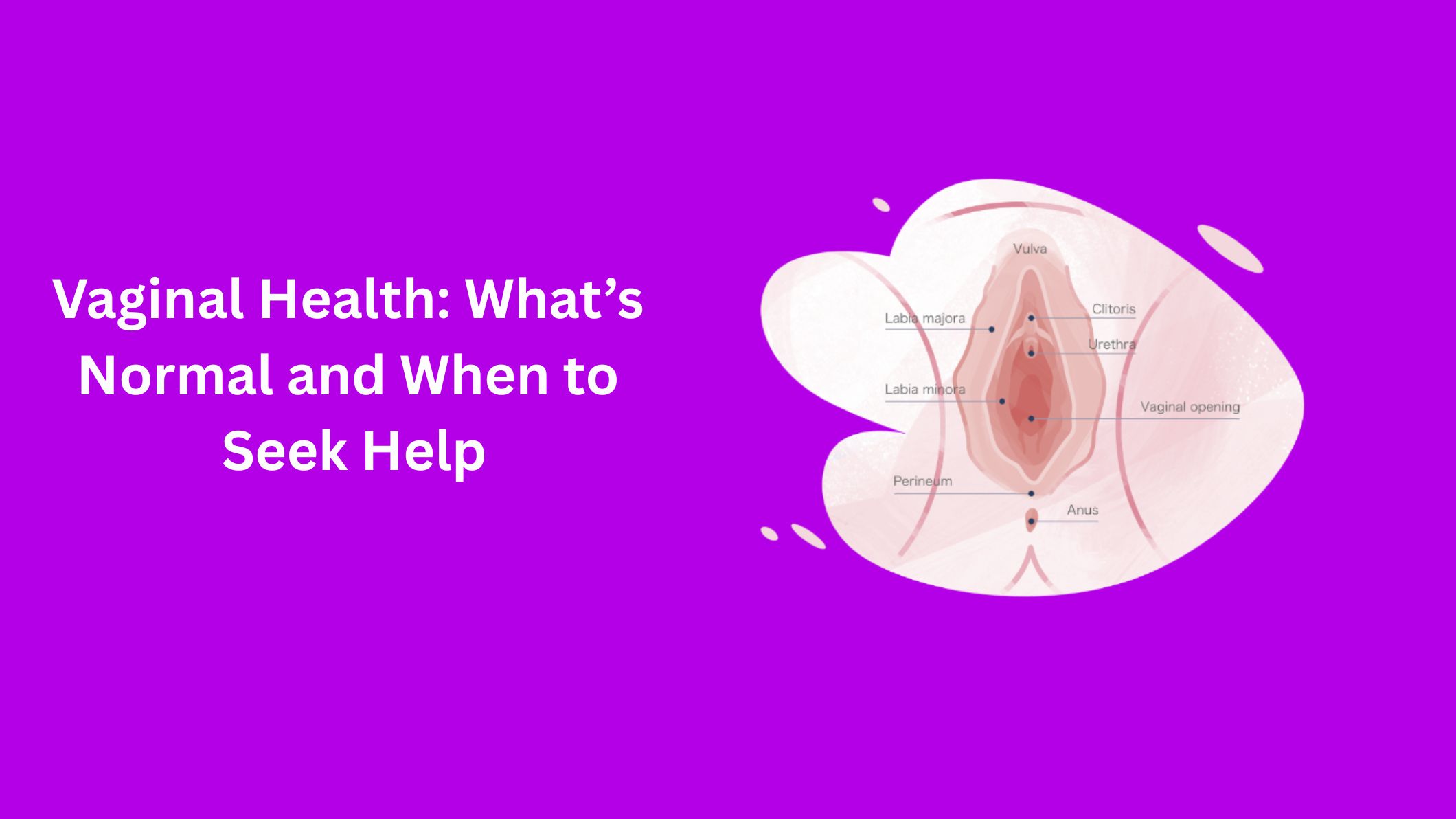 vaginal-health-whats-normal-and-when-to-seek-help