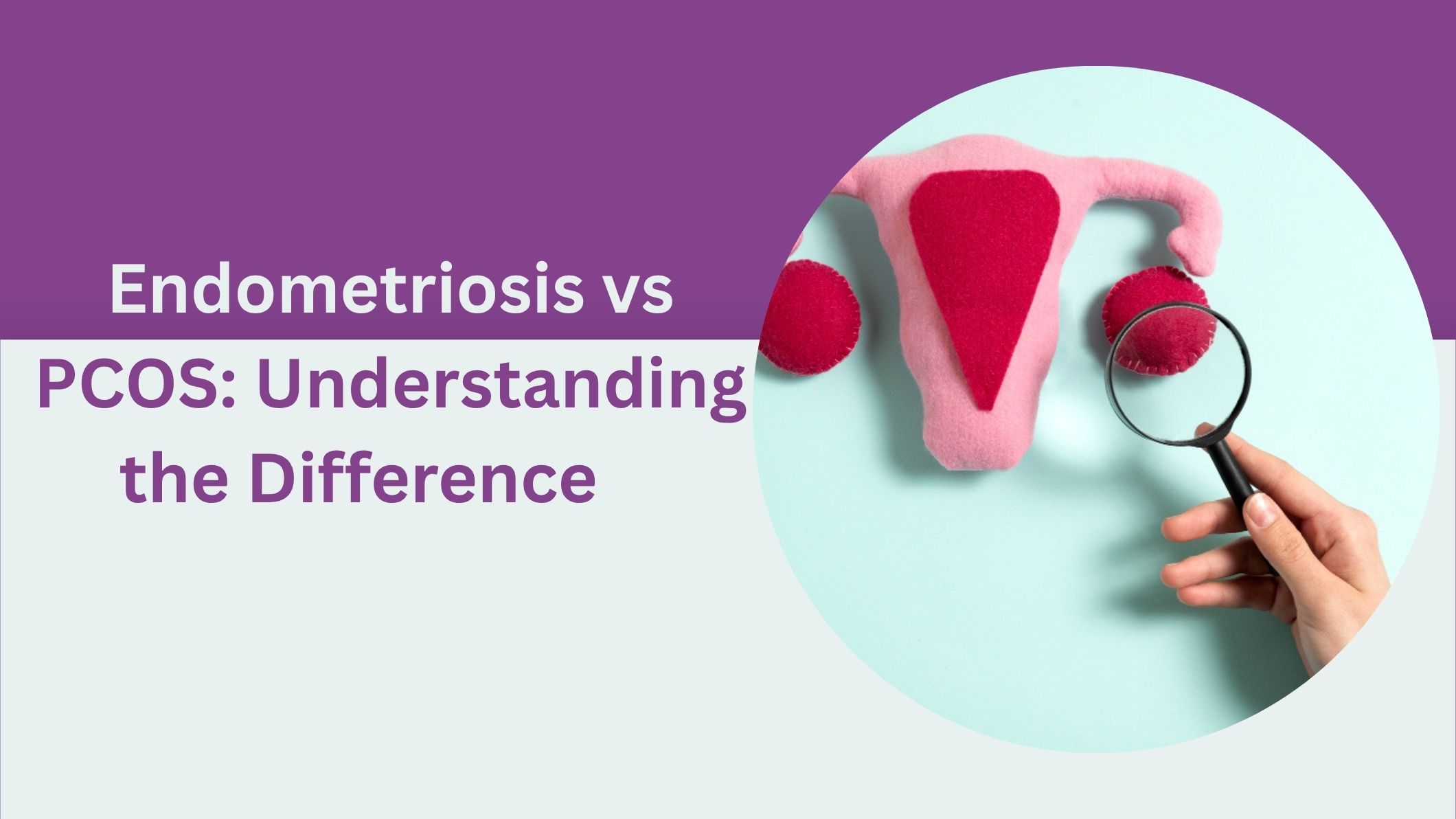 endometriosis-vs-pcos-understanding-the-difference